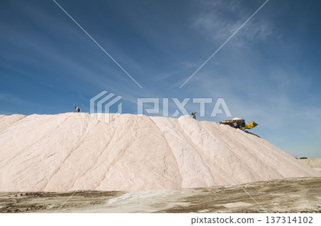Trucks unloading raw salt bulk, Salinas Grandes Trucks unloading raw salt bulk, Salinas Grandes 137314102