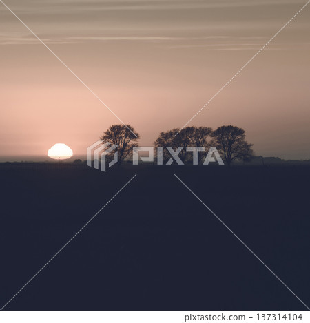 Rural sunset landscape, Buenos Aires province , Argentina Rural sunset landscape, Buenos Aires province , Argentina 137314104