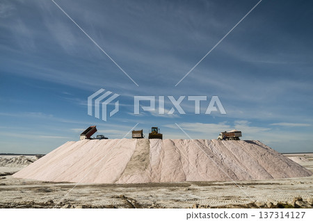 Trucks unloading raw salt bulk, Salinas Grandes de Hidalgo, La Pampa, Argentina. Trucks unloading raw salt bulk, Salinas Grandes de Hidalgo, La Pampa, Argentina. 137314127