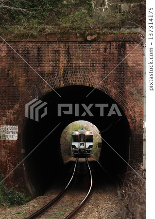 2026年2月20日，Kiha 185系列柴油動車組（復刻日本國鐵塗裝）特快列車「Kenzan」駛過一條復古隧道。 137314175