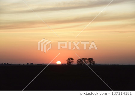 Rural sunset landscape, Buenos Aires province , Argentina 137314191