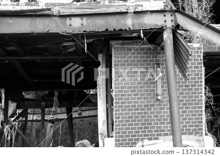 Ruins Monochrome Ruins Monochrome 137314342