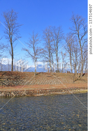 Azumino - Mansui River in early spring 137314697