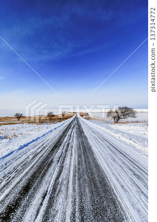 A road running through the snowy fields and a sea of drift ice: the winter scenery of Cape Notoro, Hokkaido A road running through the snowy fields and a sea of drift ice: the winter scenery of Cape Notoro, Hokkaido 137314772