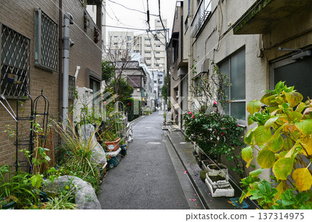 從東京市中心後街看到的景色 [東京都台東區] 137314975