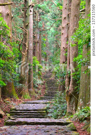 熊野古道 熊野古道 137315560