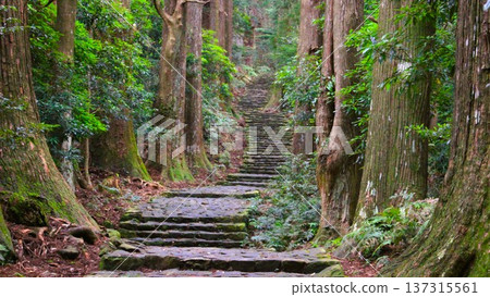 熊野古道 137315561