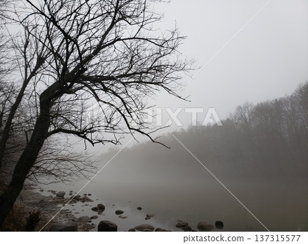 Fog Over the Scioto River in Late Winter, Scioto Park, Dublin, Ohio 137315577