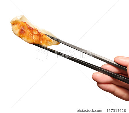 Gyoza  137315628