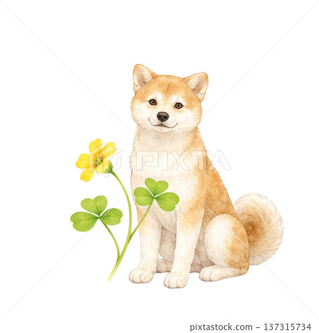 柴犬與春花水彩插畫，可愛的狗狗與植物，天然材質 137315734