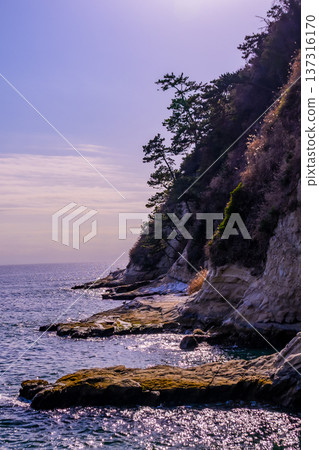 Inamuragasaki cliffs at dusk 137316170