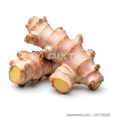 Fresh Raw Ginger Roots on White Background with Textured Skin and a Unique Shape 137316635