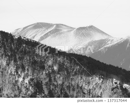 從貓岳眺望東屋山,可以看到淺間山(mo20260220112525) 從貓岳眺望東屋山,可以看到淺間山(mo20260220112525) 137317044