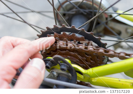 Rust on a junior mountain bike chain 137317220