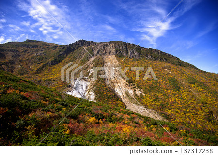 這是福島縣阿達塔拉山登山步道上的秋葉景色。嶙峋的岩壁與紅黃相間的樹葉交相輝映，構成了一幅引人注目、美不勝收的畫面。 137317238