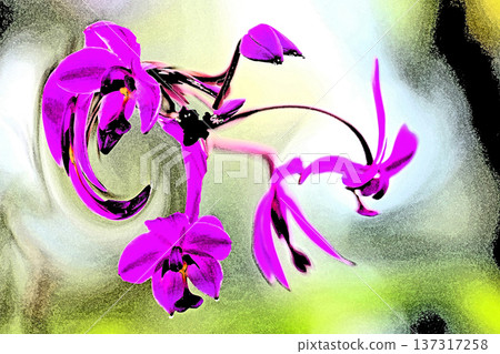 A soothing window where orchids bloom A soothing window where orchids bloom 137317258