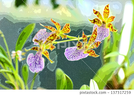 A soothing window where orchids bloom A soothing window where orchids bloom 137317259