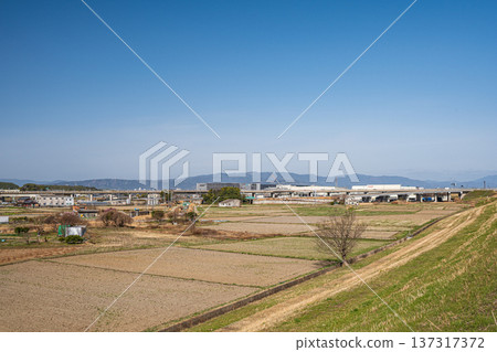 京都府京田邊市春季鄉村景色 137317372