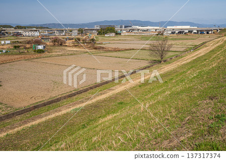 京都府京田邊市春季鄉村景色 137317374