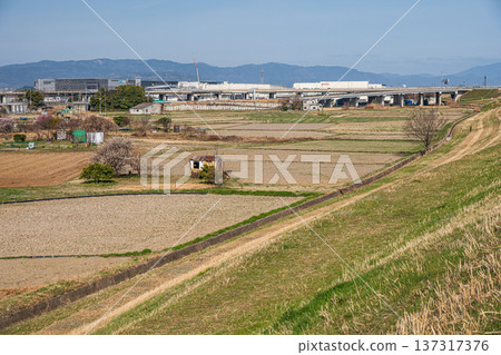 Spring rural scenery, Kyotanabe City, Kyoto Prefecture 137317376