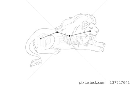 Monochrome illustration of Leo Minor (picture of a small lion and constellation lines) Monochrome illustration of Leo Minor (picture of a small lion and constellation lines) 137317641