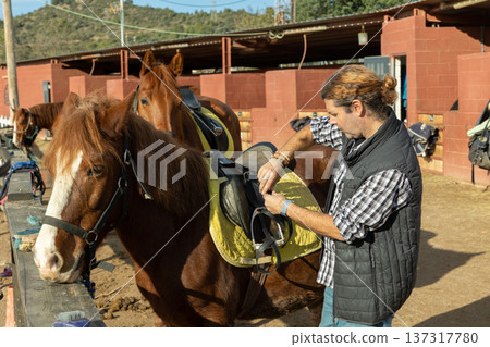 Man preparing horse for walk - putting on saddle and bridle 137317780