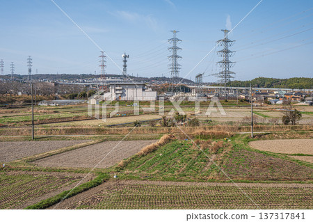 京都府京田邊市春季鄉村景色 137317841