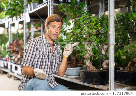 Enthusiastic plant lover recommending potted Ficus Ginseng in garden store 137317904