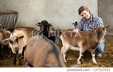 Male farmer takes care of herd of goats in a paddock at animal farm Male farmer takes care of herd of goats in a paddock at animal farm 137317931