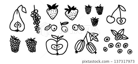 Hand drawn fruits and berries set. Crayon doodle apple, strawberry, pear, cherry, blueberry. Vector chalk pastel childish drawing. Brush stroke outline sketch collection for icon, menu, sticker, label 137317973