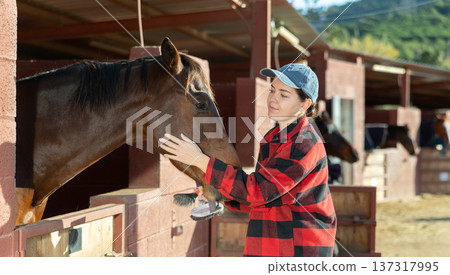 Caring young European woman in plaid shirt cleaning and grooming purebreed horse with brushes in countryside club 137317995