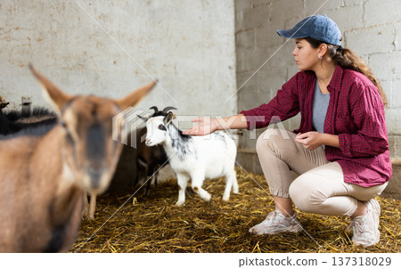 Female worker feeding goats at livestock farm Female worker feeding goats at livestock farm 137318029