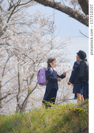 小學生上下學 小學生上下學 137318107