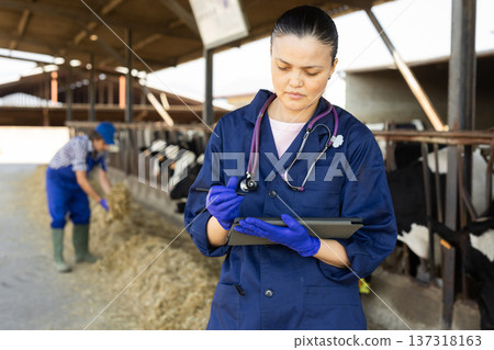 Woman veterinarian keeps notes in a tablet against the background of cows Woman veterinarian keeps notes in a tablet against the background of cows 137318163