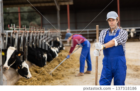 Portrait of positive male farm worker in cowshed Portrait of positive male farm worker in cowshed 137318186