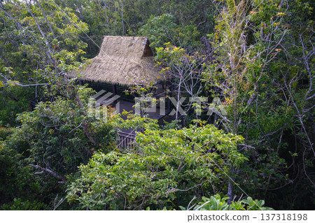 View of a wooden gazebo with a thatched roof in a dense rainforest on Hainan Island in China View of a wooden gazebo with a thatched roof in a dense rainforest on Hainan Island in China 137318198