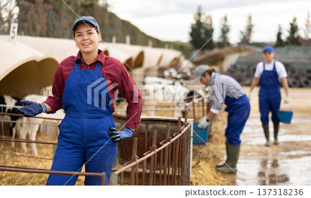 Farmer woman shows cow farm Farmer woman shows cow farm 137318236