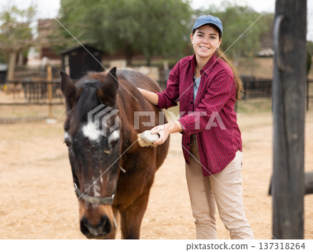 Woman washing and brushing a horse in the backyard of farm Woman washing and brushing a horse in the backyard of farm 137318264