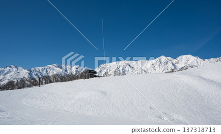 白馬岩岳雪原滑雪場風景 白馬岩岳雪原滑雪場風景 137318713