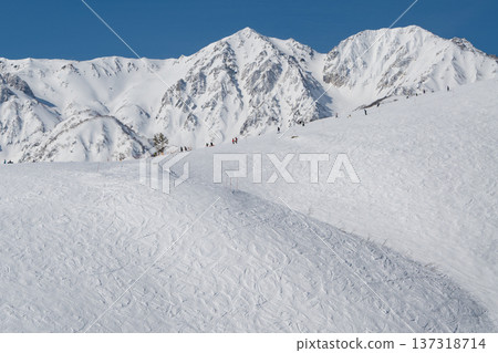 白馬岩岳雪原滑雪場風景 白馬岩岳雪原滑雪場風景 137318714