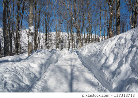 Hakuba Iwatake Snow Field - Slope view 137318718