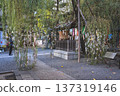 Nov 29 2025 Musubi Yanagi Sacred Willow Tree at Rokkaku do 137319146