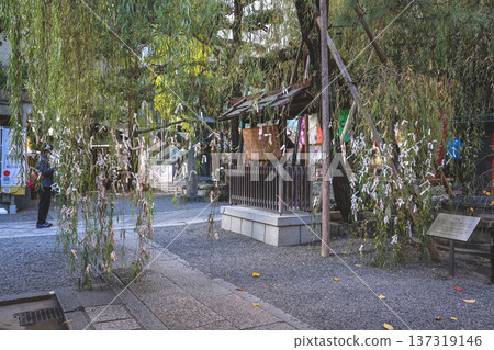 Nov 29 2025 Musubi Yanagi Sacred Willow Tree at Rokkaku do Nov 29 2025 Musubi Yanagi Sacred Willow Tree at Rokkaku do 137319146