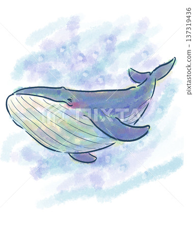 A gentle illustration of a blue whale A gentle illustration of a blue whale 137319436