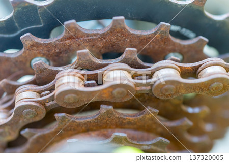 Rusty bicycle chain and sprocket 137320005