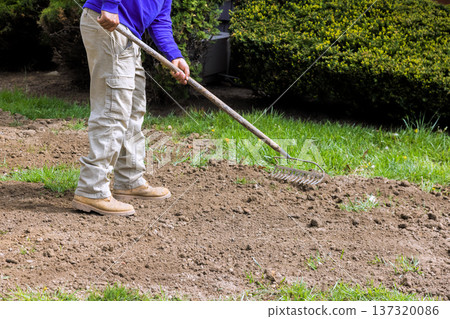 Worker works at garden using rake to smooth soil for planting new grass in neighborhood. Worker works at garden using rake to smooth soil for planting new grass in neighborhood. 137320086