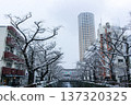 Snow falling over the Meguro River and Nakameguro Atlas Tower (Meguro Ward, Tokyo) 137320325