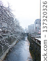 Snow-covered cherry blossom trees lining the Meguro River and winter scenery (Meguro Ward, Tokyo) 137320326