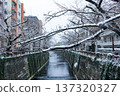 Snow-covered cherry blossom trees lining the Meguro River and winter scenery (Meguro Ward, Tokyo) 137320327