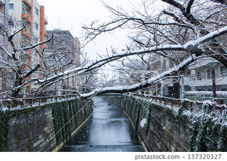 目黑川兩岸白雪皚皚的櫻花樹,冬日美景(東京目黑區) 目黑川兩岸白雪皚皚的櫻花樹,冬日美景(東京目黑區) 137320327